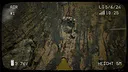 FPV Military Kamikaze Drone Simulator Screenshot 0