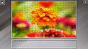 Super Jigsaw Puzzle: Generations - Flowers 2 Screenshot 4
