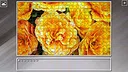 Super Jigsaw Puzzle: Generations - Flowers 2 Screenshot 27