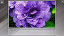 Super Jigsaw Puzzle: Generations - Flowers 2 Screenshot 28