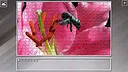 Super Jigsaw Puzzle: Generations - Flowers 2 Screenshot 18