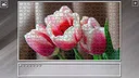 Super Jigsaw Puzzle: Generations - Flowers 2 Screenshot 25