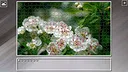 Super Jigsaw Puzzle: Generations - Flowers 2 Screenshot 14