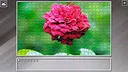 Super Jigsaw Puzzle: Generations - Flowers 2 Screenshot 22