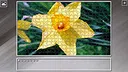 Super Jigsaw Puzzle: Generations - Flowers 2 Screenshot 1