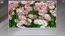 Super Jigsaw Puzzle: Generations - Flowers 2 Screenshot 11