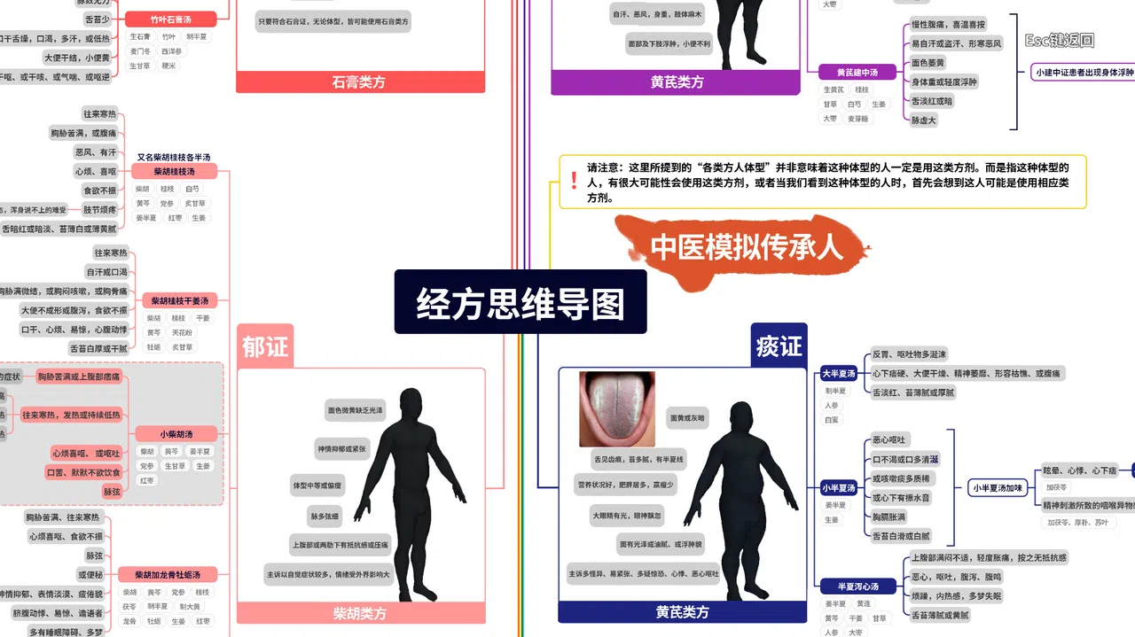中医模拟传承人 Screenshot 2