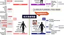 中医模拟传承人 Screenshot 2