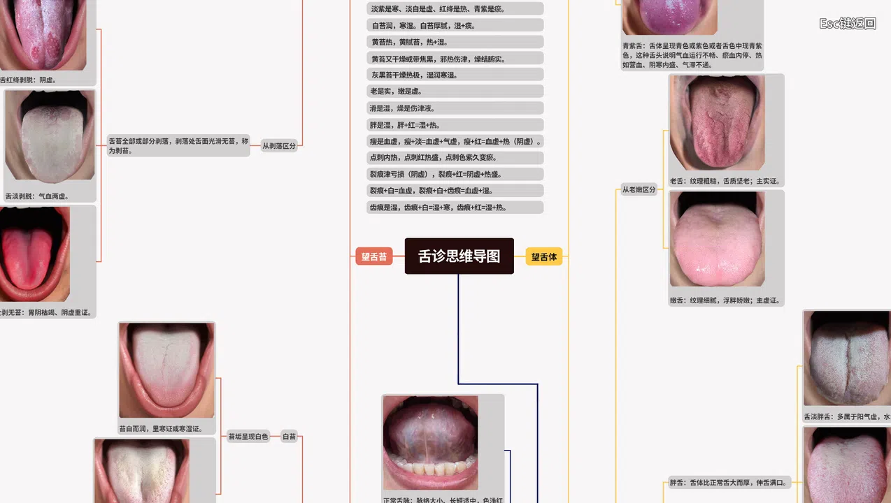 中医模拟传承人 Screenshot 1