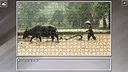 Super Jigsaw Puzzle: Generations - Agriculture Screenshot 16