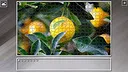 Super Jigsaw Puzzle: Generations - Agriculture Screenshot 0