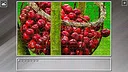 Super Jigsaw Puzzle: Generations - Red Things Screenshot 7