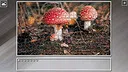 Super Jigsaw Puzzle: Generations - Red Things Screenshot 19