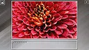 Super Jigsaw Puzzle: Generations - Red Things Screenshot 8