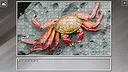 Super Jigsaw Puzzle: Generations - Red Things Screenshot 11
