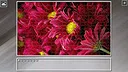 Super Jigsaw Puzzle: Generations - Red Things Screenshot 25