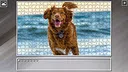 Super Jigsaw Puzzle: Generations - Random Animals 4 Screenshot 8