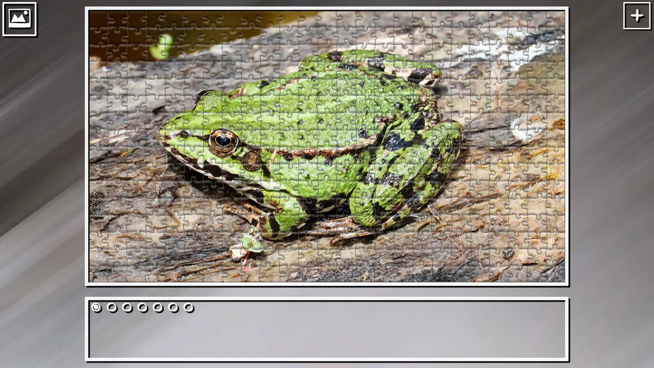 Super Jigsaw Puzzle: Generations - Random Animals 4 Screenshot 13