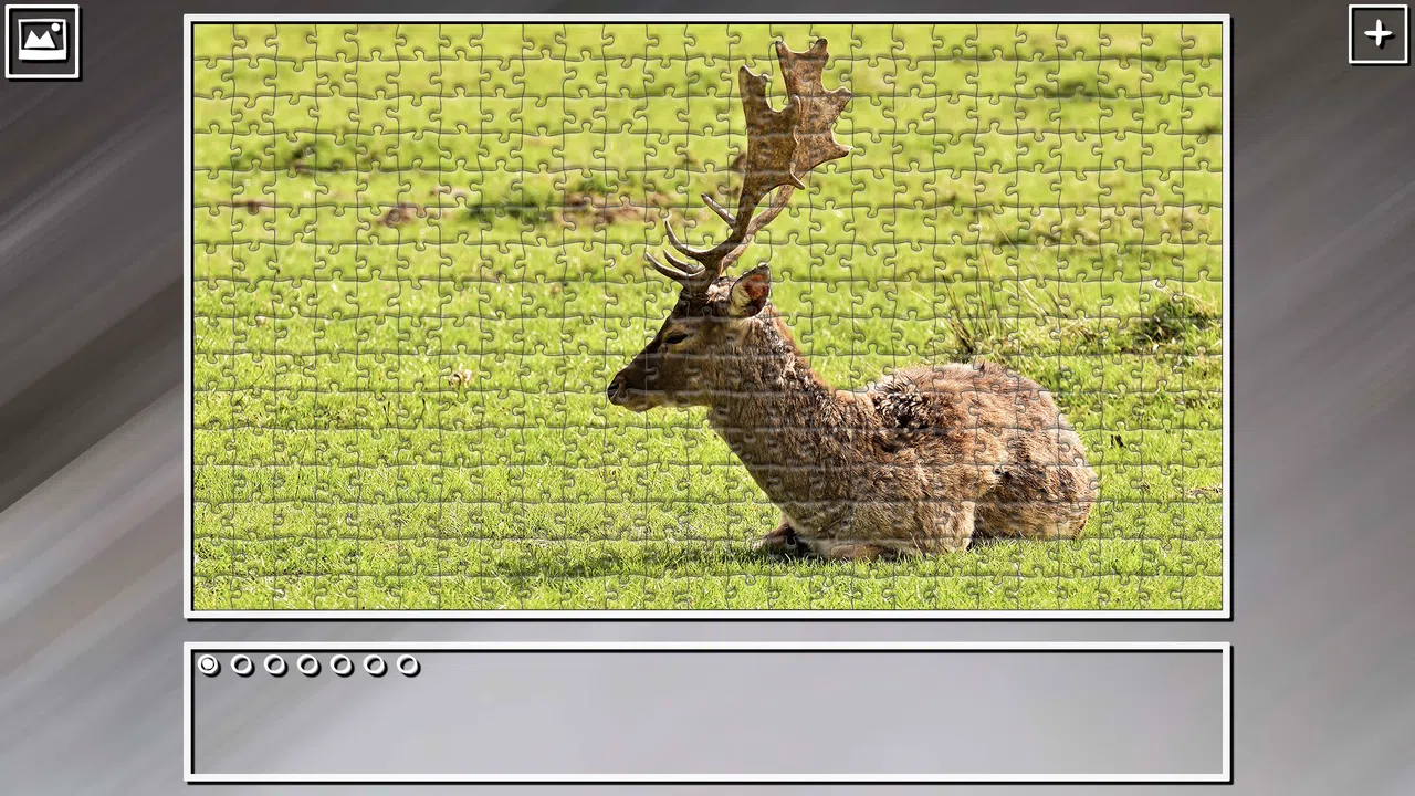 Super Jigsaw Puzzle: Generations - Random Animals 4 Screenshot 7