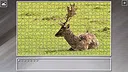 Super Jigsaw Puzzle: Generations - Random Animals 4 Screenshot 7