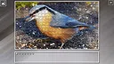 Super Jigsaw Puzzle: Generations - Random Animals 4 Screenshot 18