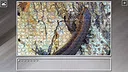 Super Jigsaw Puzzle: Generations - Random Animals 4 Screenshot 17