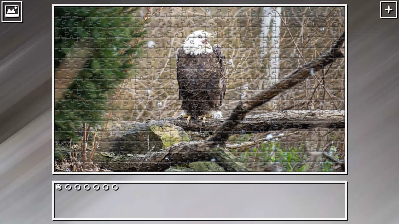 Super Jigsaw Puzzle: Generations - Random Animals 4 Screenshot 11