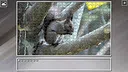 Super Jigsaw Puzzle: Generations - Random Animals 4 Screenshot 22