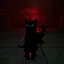 The black cat hit the coffin, and it was very fierce icon