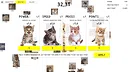 Cats Clicker Screenshot 2