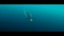 ARKWHALE Screenshot 5
