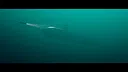 ARKWHALE Screenshot 2