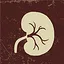 Vanished Kidney icon