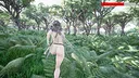 Dinosaur Huntress Screenshot 0