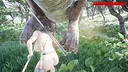 Dinosaur Huntress Screenshot 5