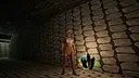 Tomb nightmares Screenshot 0