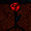 Rose Gift icon