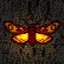 What Moth icon