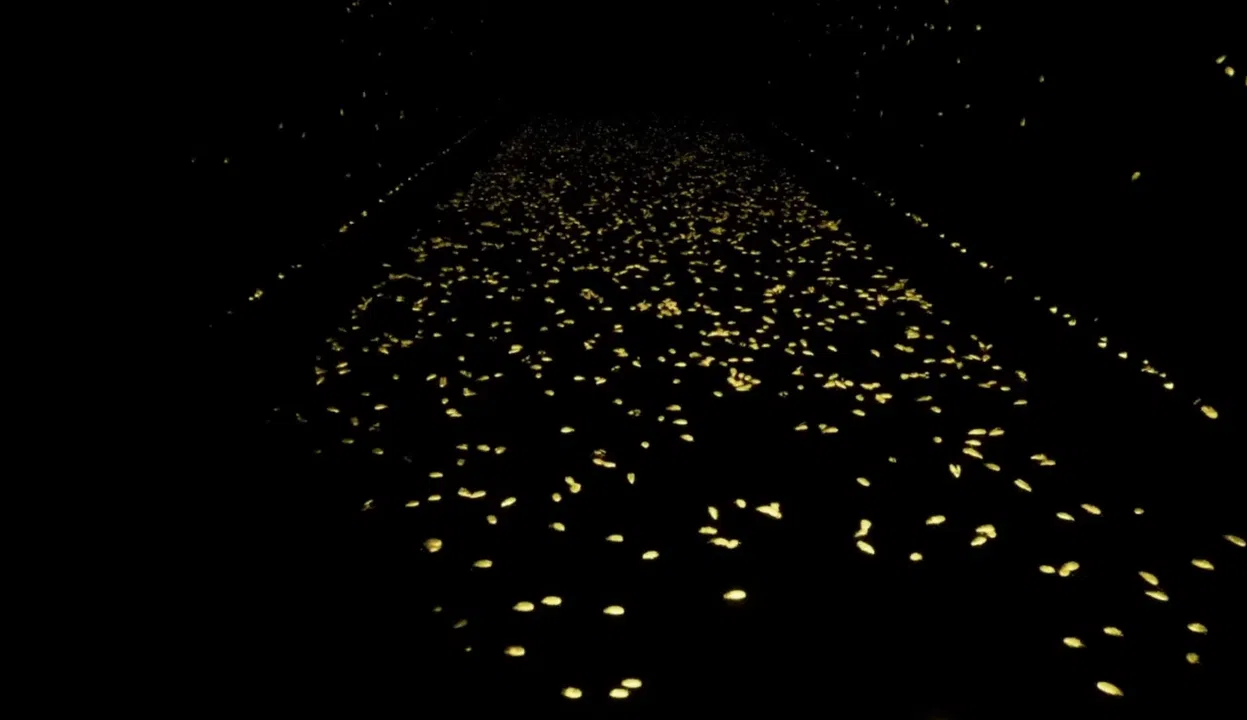 Gallery X Screenshot 10