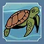 Slow and Steady icon