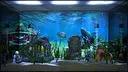 Aqua TV Screenshot 8