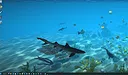 Aqua TV Screenshot 11