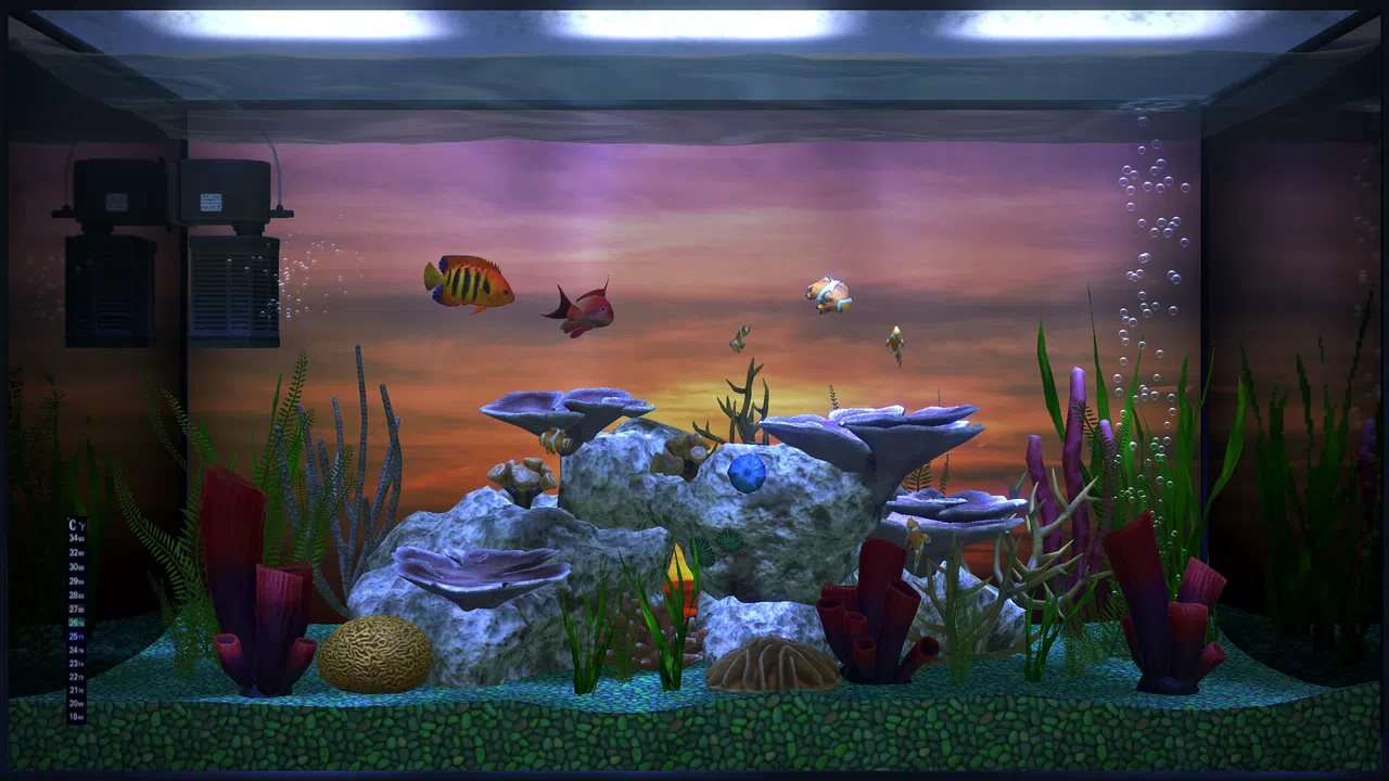 Aqua TV Screenshot 3