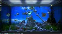 Aqua TV Screenshot 10