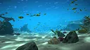 Aqua TV Screenshot 4