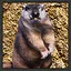 1 SENBEI icon