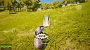 Marmot Fight Club Screenshot 4