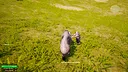 Marmot Fight Club Screenshot 6