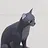 Cat Person