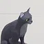 Cat Person icon
